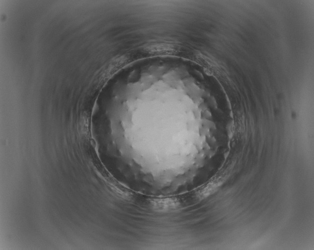 X0000077990281200611031428