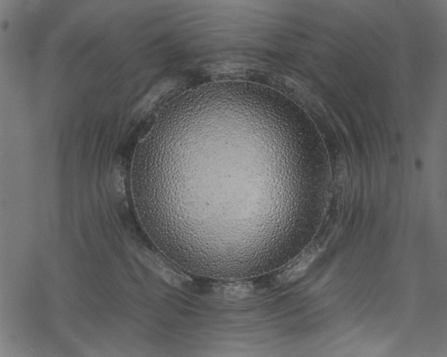 X0000077990282200611031428