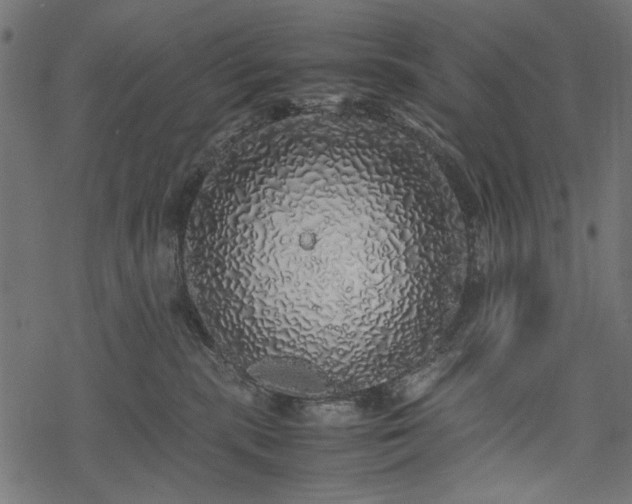 X0000077990283200611031428