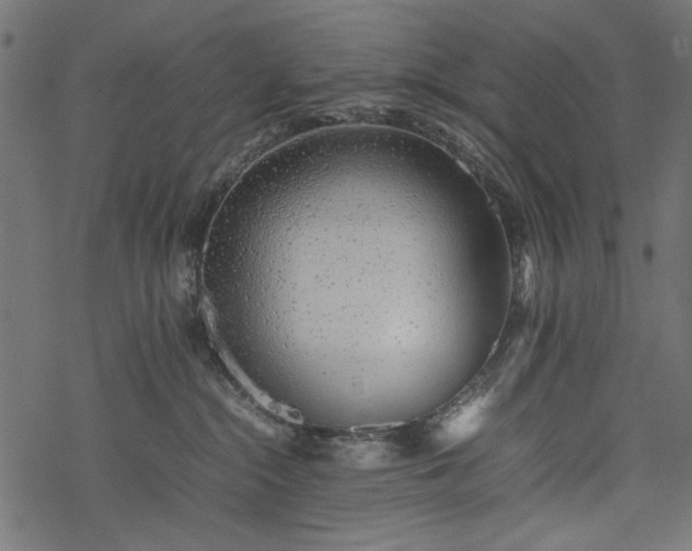 X0000077990284200611031428