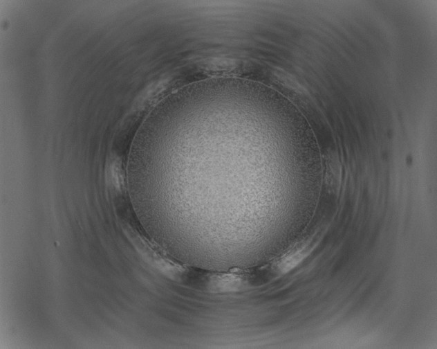X0000077990287200611031428