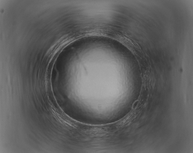 X0000077990290200611031427