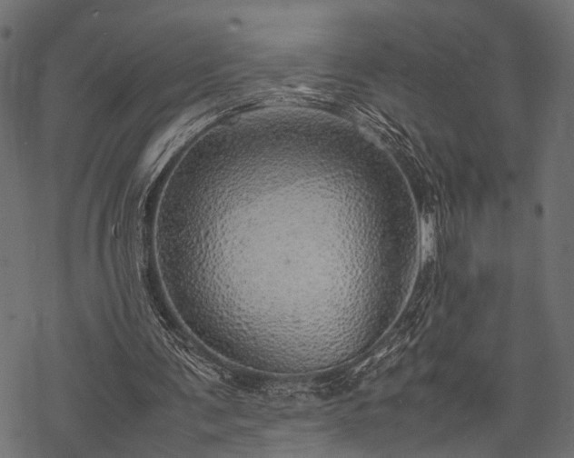 X0000077990291200611031427