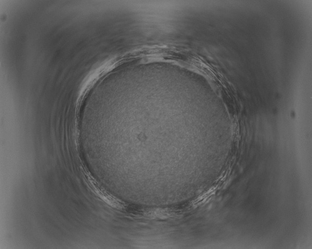 X0000077990293200611031427