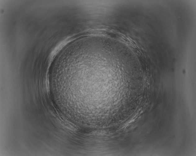 X0000077990294200611031427