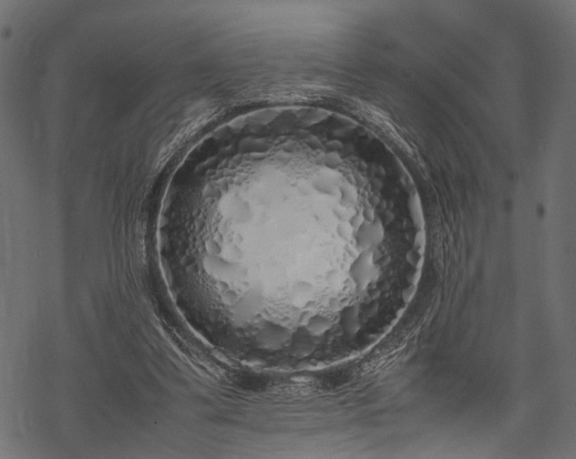 X0000077990299200611031427