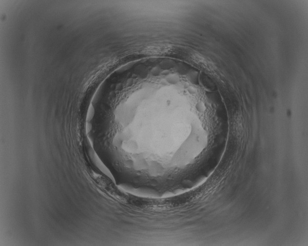 X0000077990303200611031427