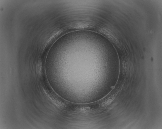 X0000077990304200611031427