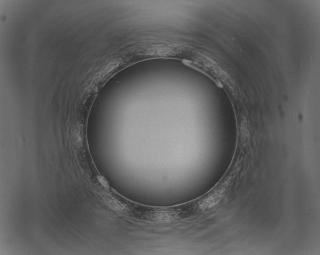 X0000077990305200611031427