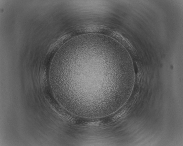 X0000077990306200611031427