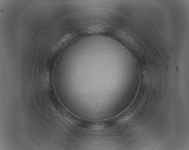 X0000077990308200611031427