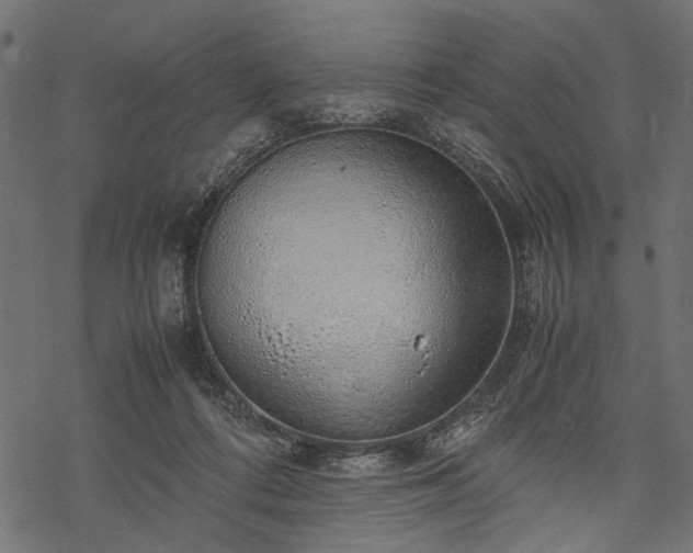 X0000077990312200611031427
