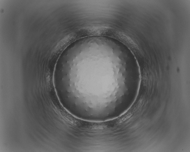 X0000077990314200611031427