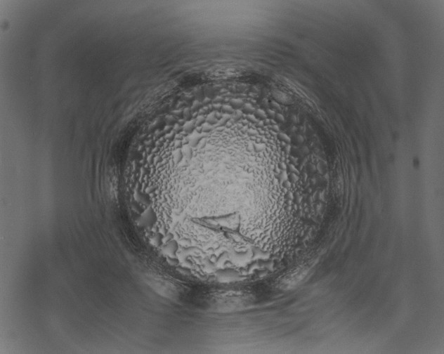 X0000077990315200611031427
