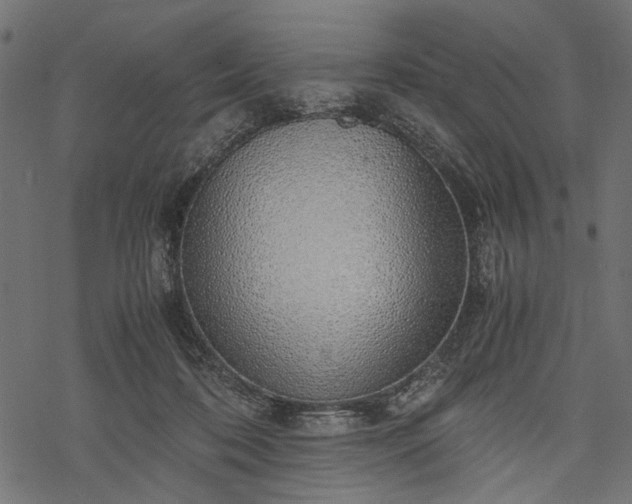 X0000077990316200611031427