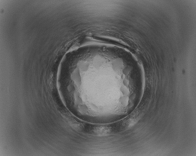X0000077990319200611031427