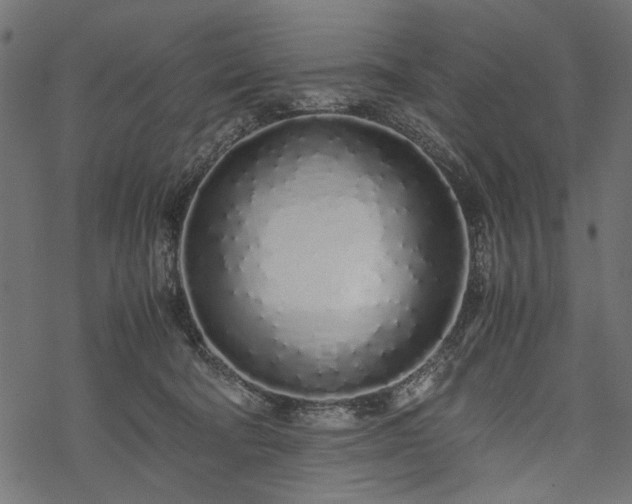 X0000077990322200611031427