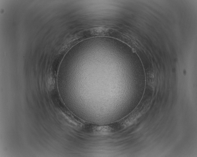 X0000077990324200611031427