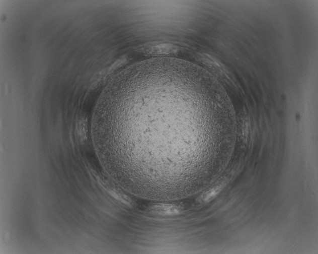 X0000077990326200611031427