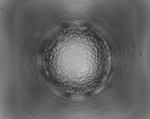 X0000077990331200611031427