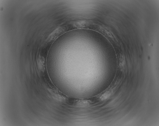 X0000077990332200611031427
