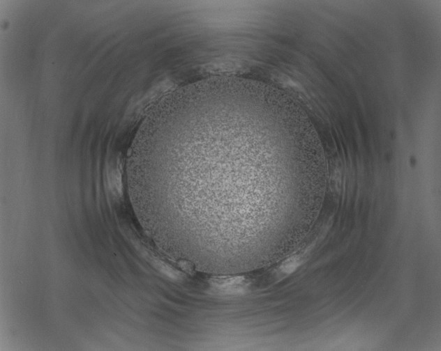X0000077990334200611031426