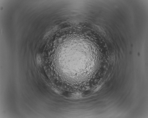 X0000077990335200611031426