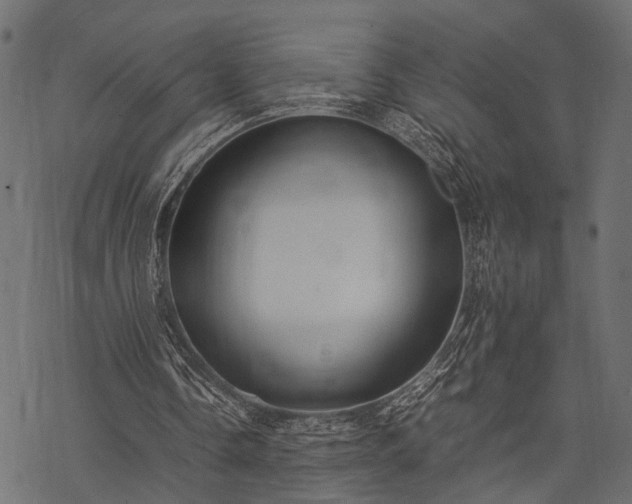 X0000077990338200611031426