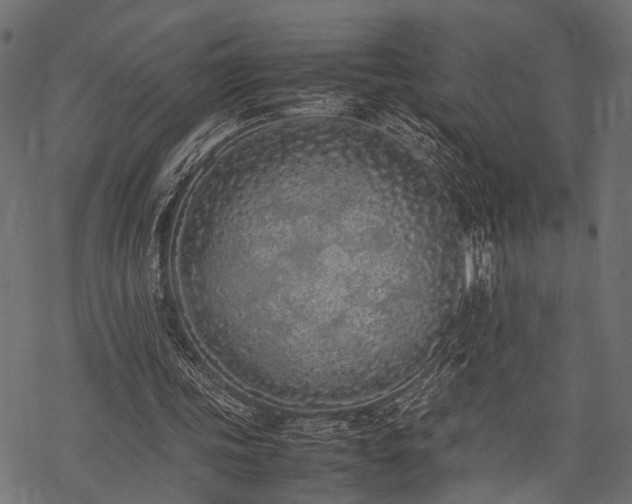 X0000077990339200611031426