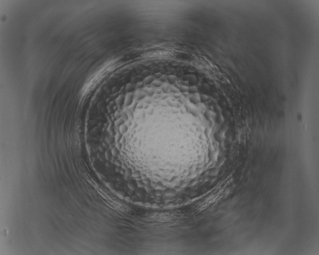 X0000077990341200611031426