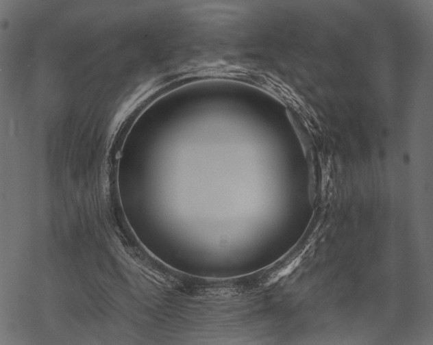 X0000077990344200611031426