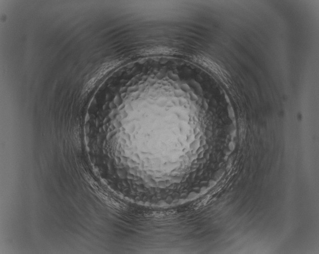 X0000077990345200611031426