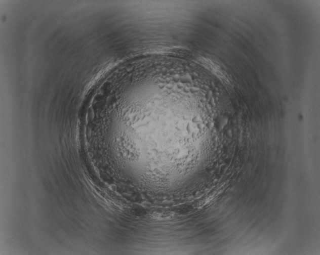 X0000077990346200611031426