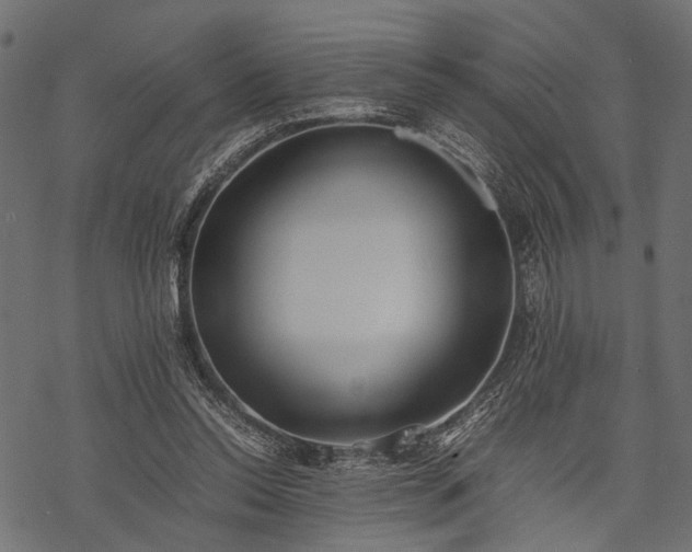 X0000077990350200611031426