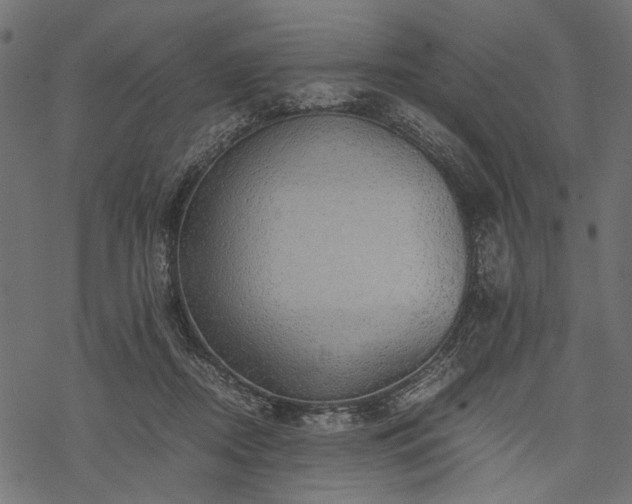 X0000077990362200611031426
