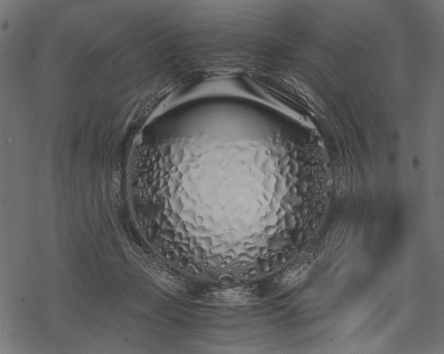 X0000077990365200611031426