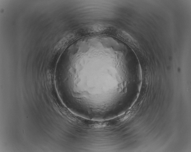 X0000077990366200611031426