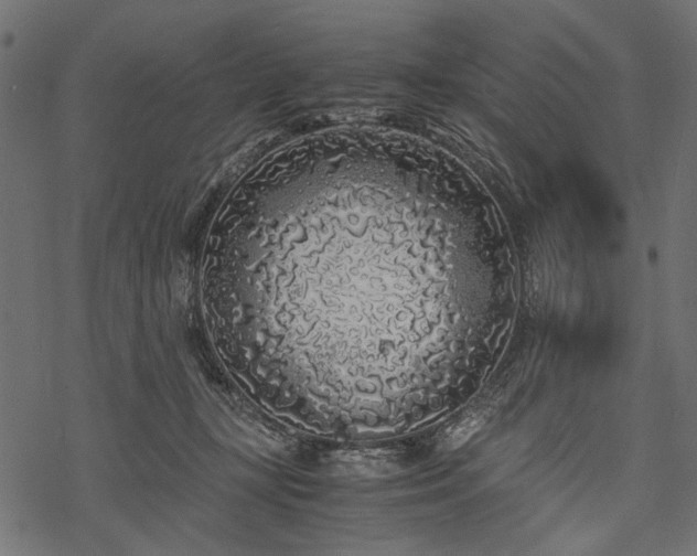 X0000077990367200611031426