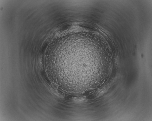 X0000077990373200611031426