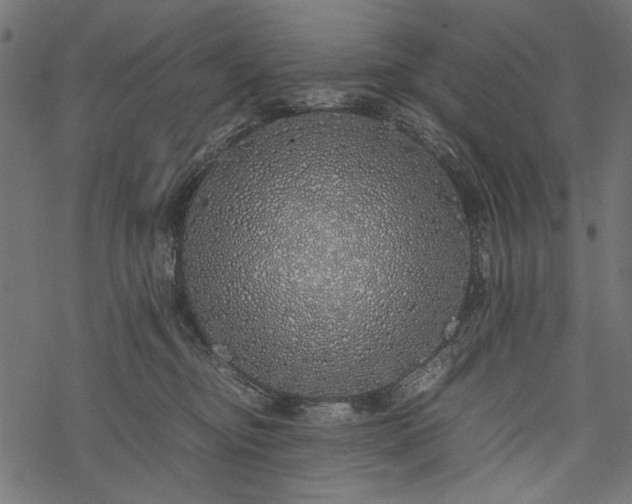 X0000077990374200611031426