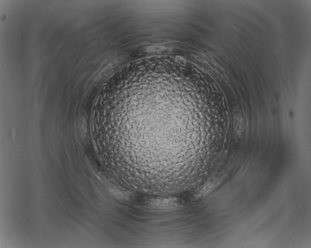 X0000077990375200611031426