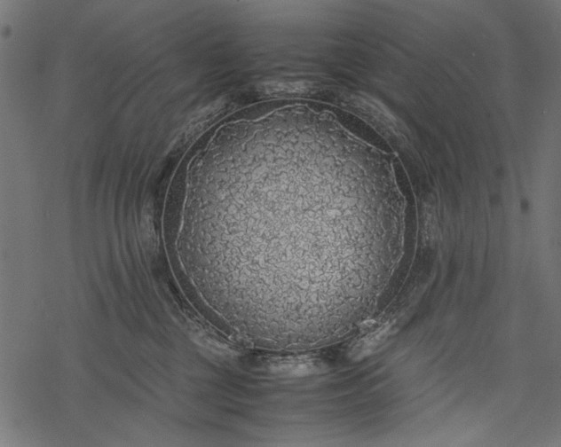 X0000077990377200611031426