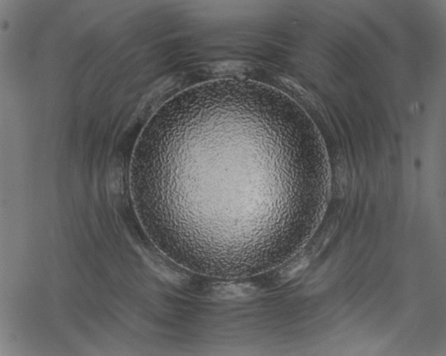 X0000077990379200611031426