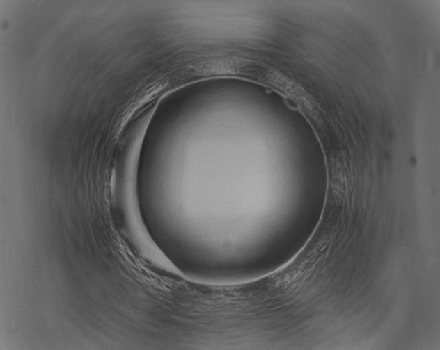 X0000077990386200611031426