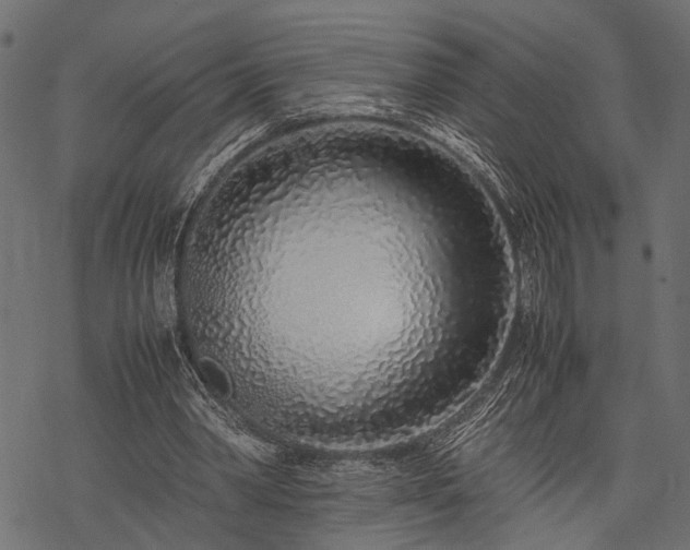 X0000077990390200611031426