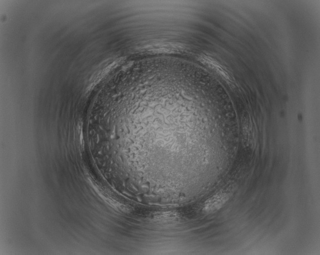 X0000077990398200611031425