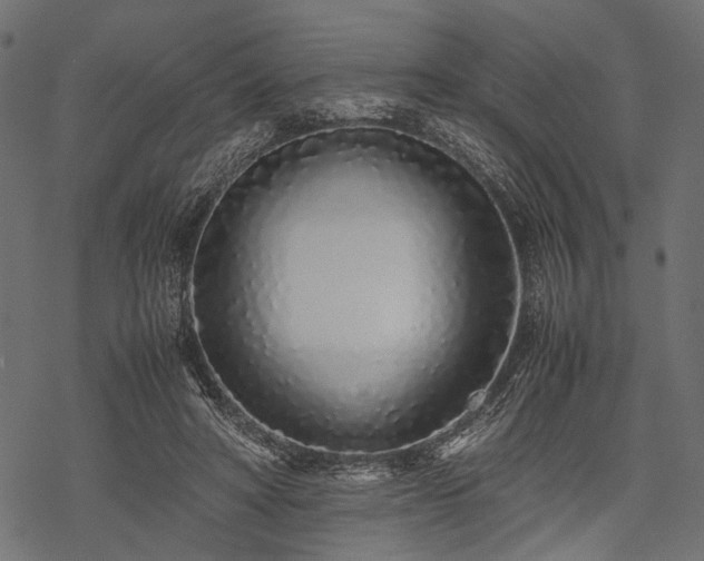 X0000077990402200611031425
