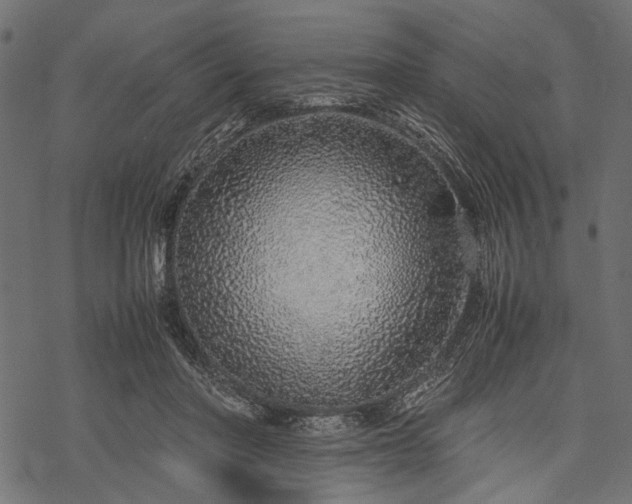 X0000077990406200611031425