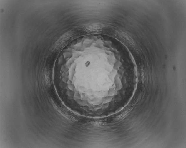 X0000077990408200611031425