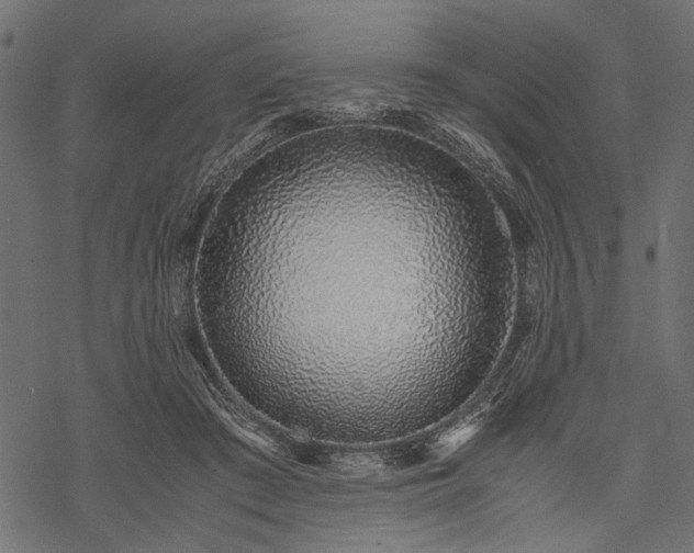 X0000077990409200611031425